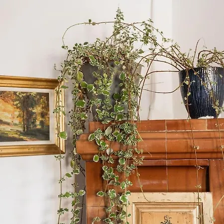 Theatre Art Apartment Brasov